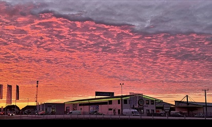 sonnenaufgang-firma-14-01-2025.jpg